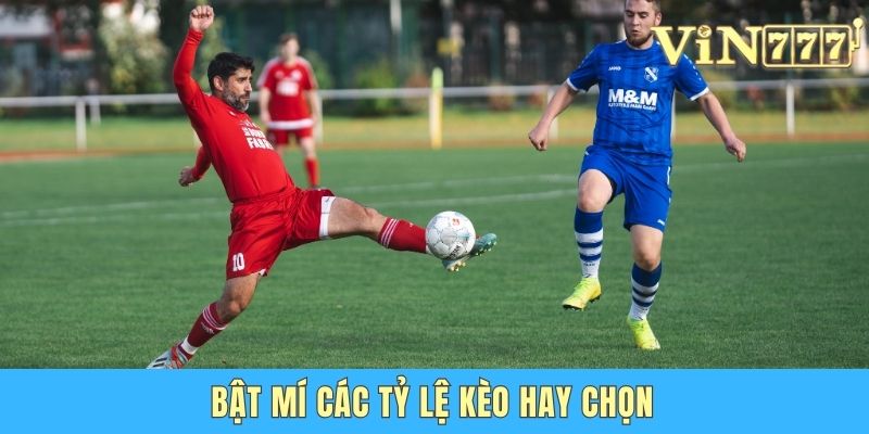Bật mí các tỷ lệ kèo hay chọn