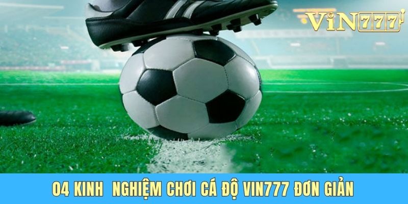 04 kinh nghiệm chơi cá độ Vin777 đơn giản